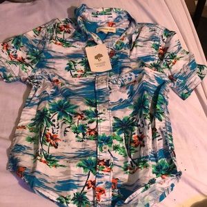 Nordstrom Tucker &Tate button down shirts